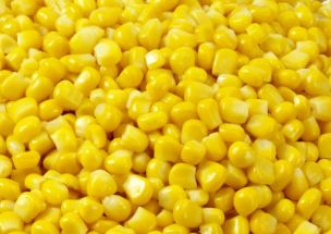 Frozen Sweetcorn